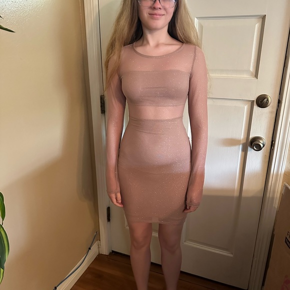 ✨Windsor Glitter ✨Bodycon dress Nude beige size small ✨ - Picture 8 of 9
